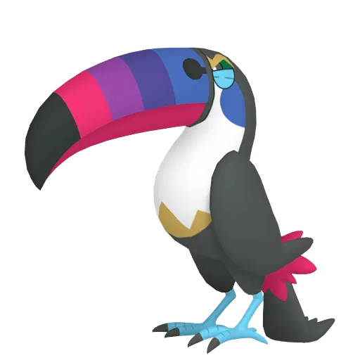 Toucannon variocolor