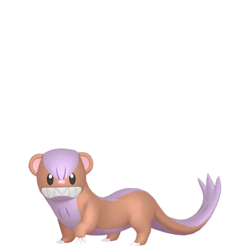 Yungoos variocolor