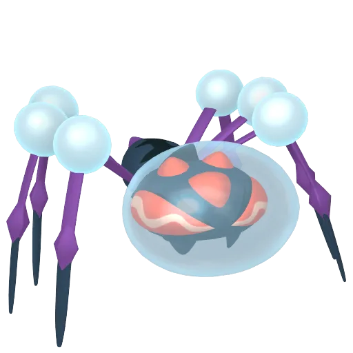 Araquanid variocolor