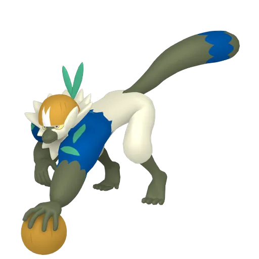 Passimian variocolor