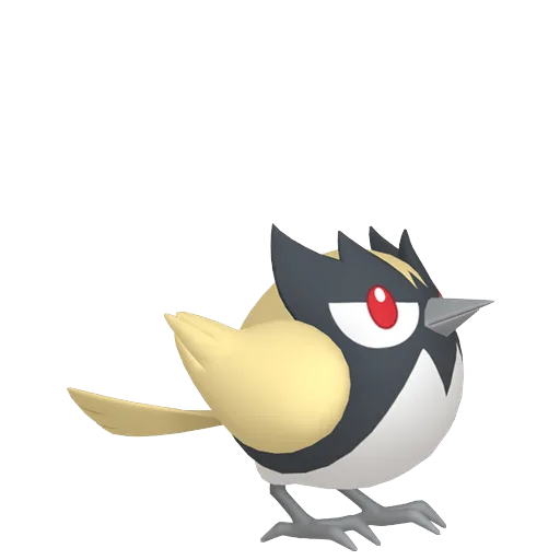 Rookidee variocolor