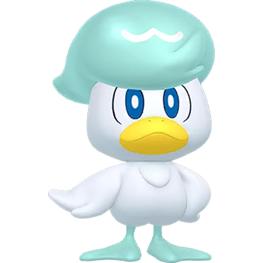 Quaxly variocolor