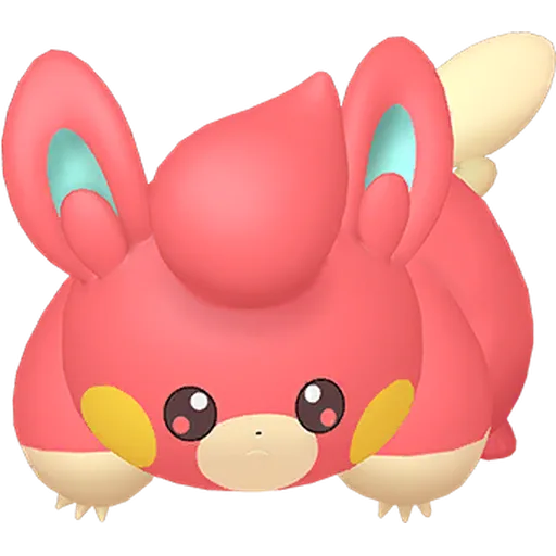 Pawmi variocolor
