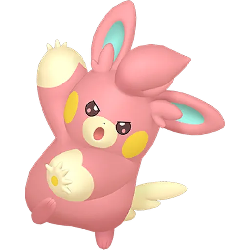 Pawmo variocolor