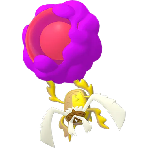Rabsca variocolor