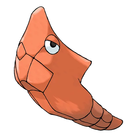 Metapod variocolor