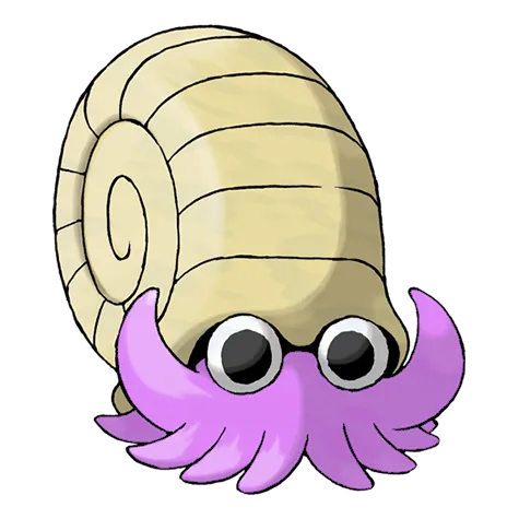 Omanyte variocolor