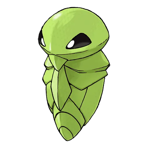 Kakuna variocolor