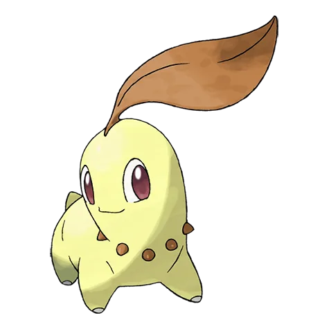 Chikorita variocolor