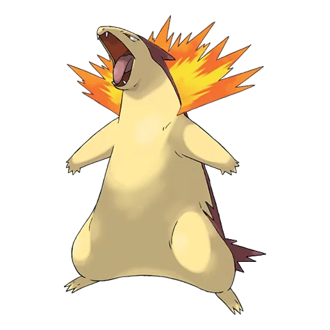 Typhlosion variocolor
