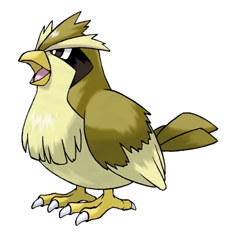 Pidgey variocolor