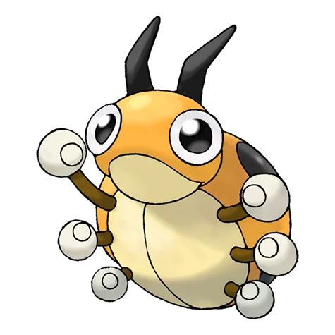 Ledyba variocolor