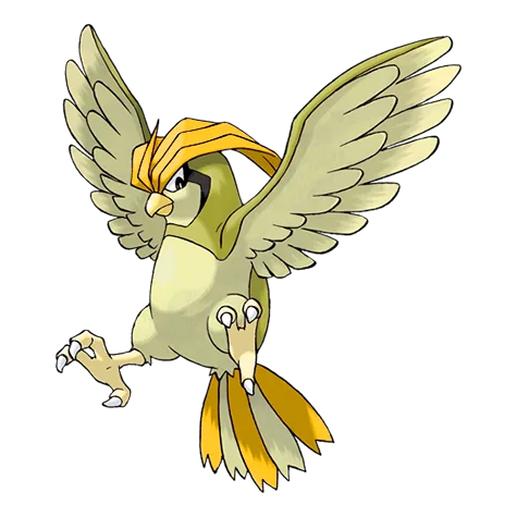 Pidgeotto variocolor