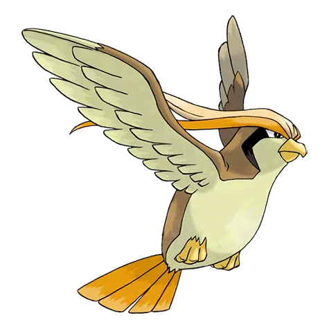 Pidgeot variocolor