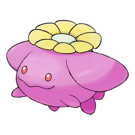 Skiploom variocolor