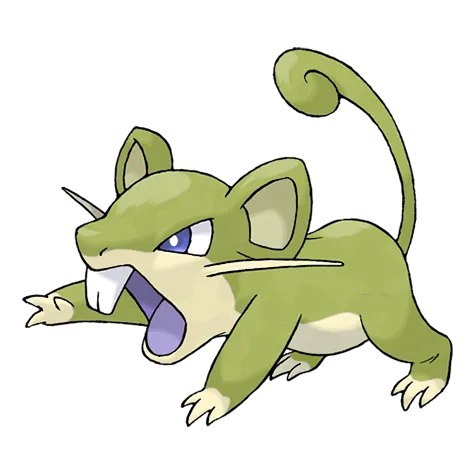 Rattata variocolor