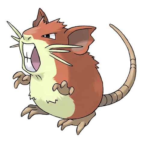 Raticate variocolor