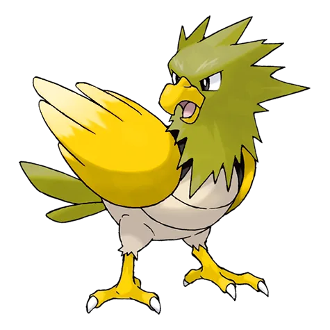 Spearow variocolor