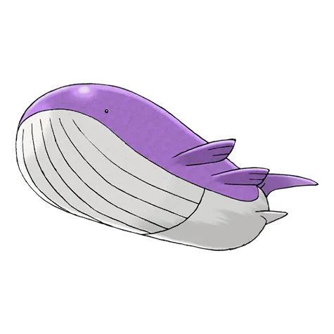 Wailord variocolor