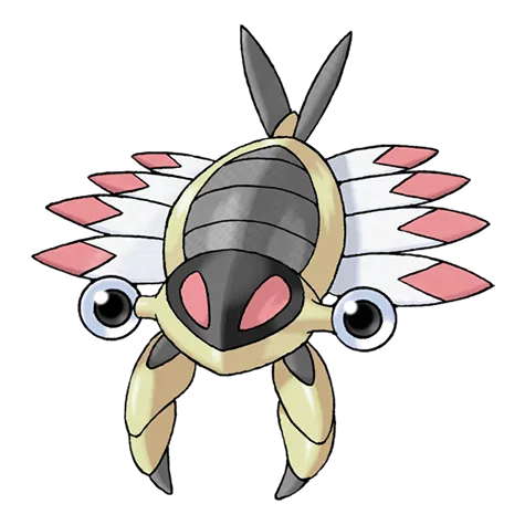 Anorith variocolor