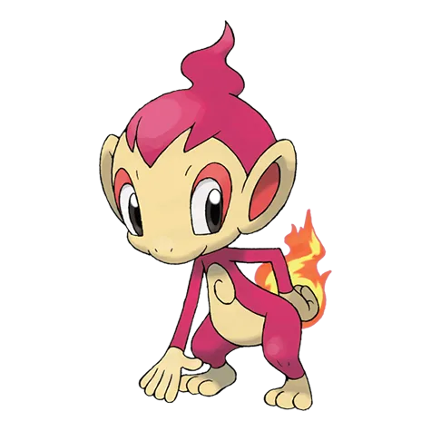 Chimchar variocolor