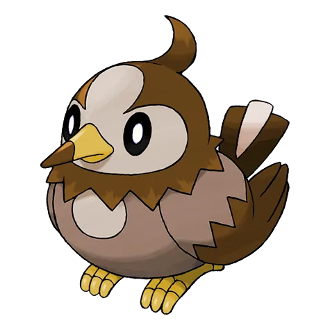 Starly variocolor