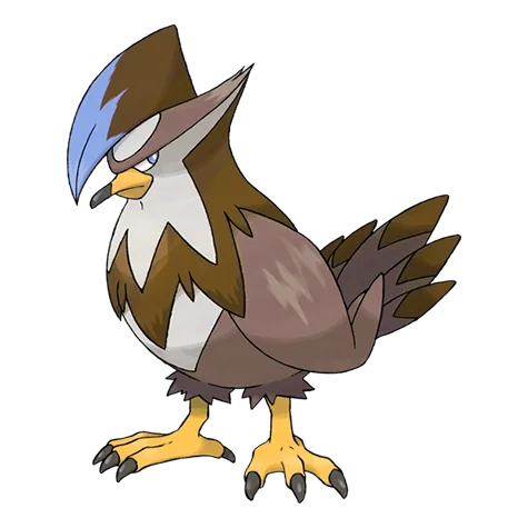 Staraptor variocolor