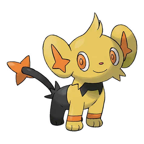Shinx variocolor
