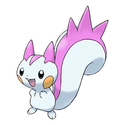 Pachirisu variocolor