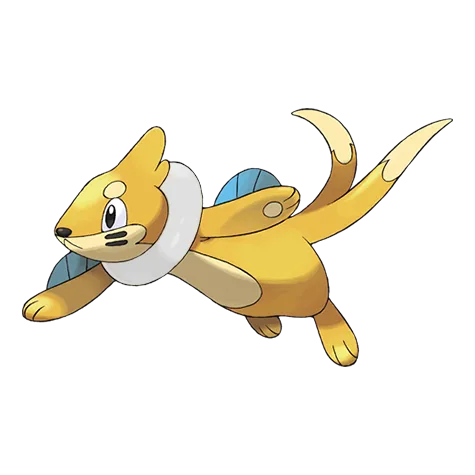Buizel variocolor