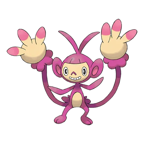 Ambipom variocolor