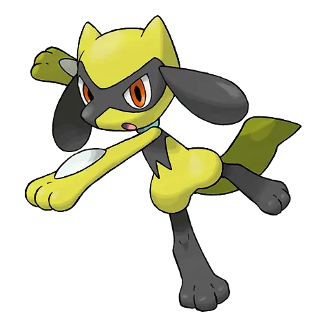 Riolu variocolor
