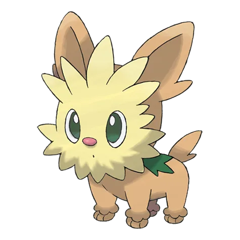 Lillipup variocolor