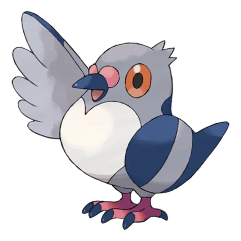 Pidove variocolor