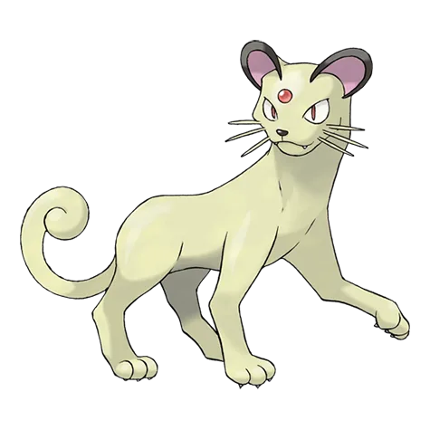Persian variocolor