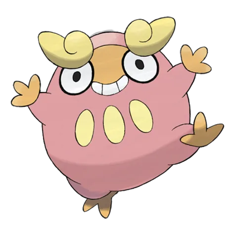 Darumaka variocolor