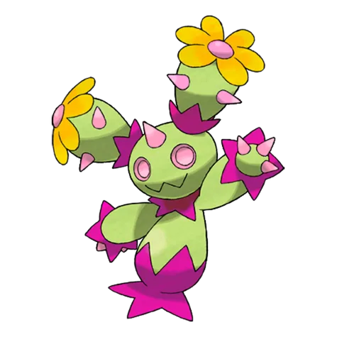 Maractus variocolor