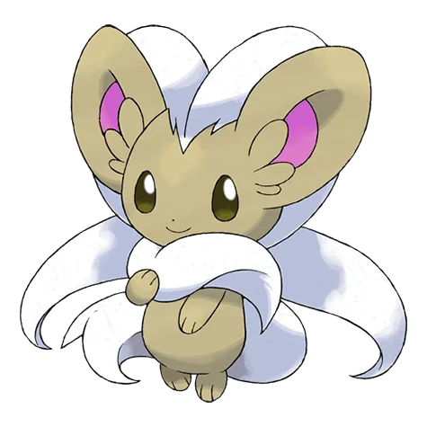 Cinccino variocolor