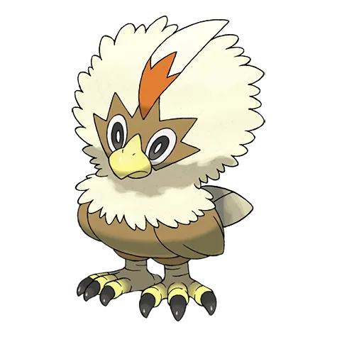 Rufflet variocolor