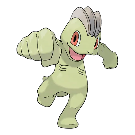 Machop variocolor