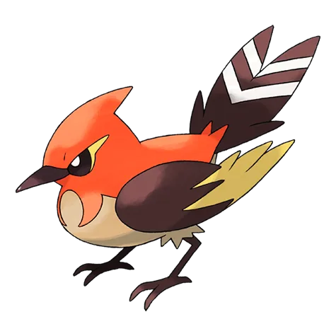 Fletchinder variocolor