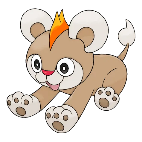 Litleo variocolor