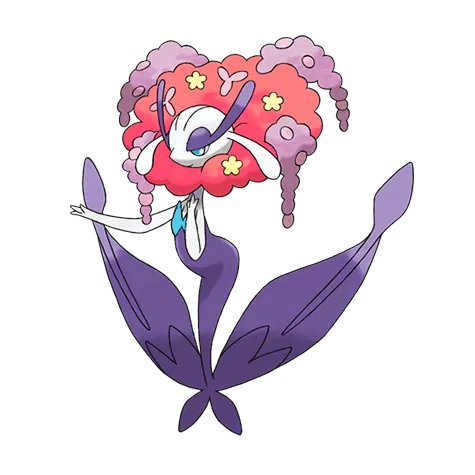 Florges variocolor