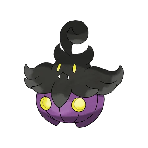Pumpkaboo-average variocolor