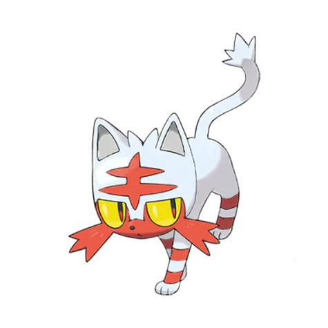 Litten variocolor