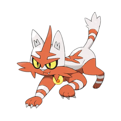Torracat variocolor