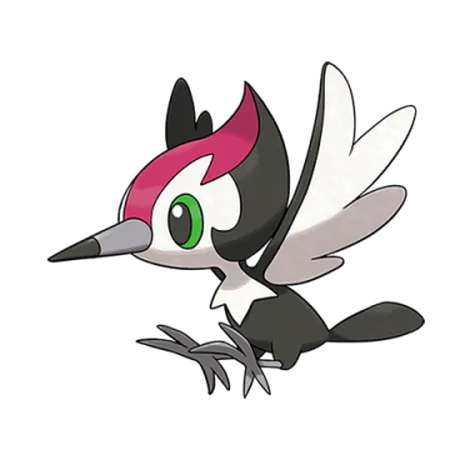 Pikipek variocolor