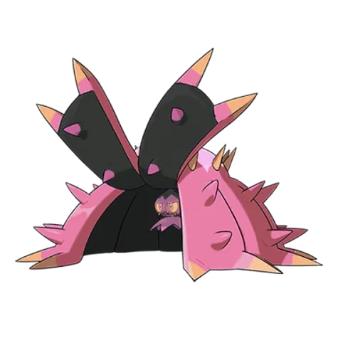 Toxapex variocolor