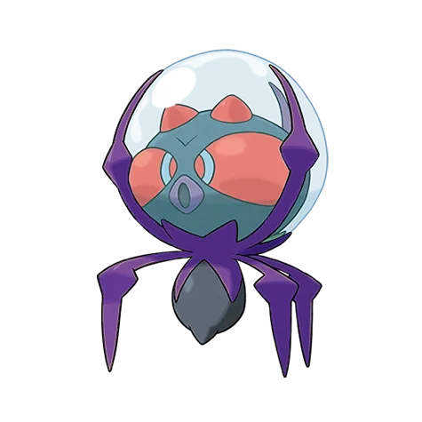 Dewpider variocolor