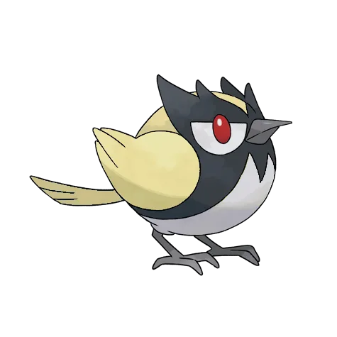 Rookidee variocolor